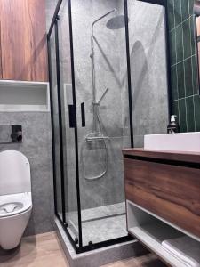 a bathroom with a shower and a toilet at Апартаменти біля моря in Odesa