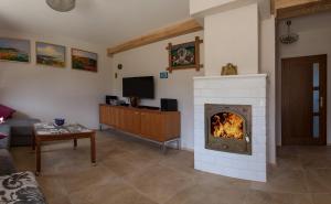 a living room with a fireplace and a tv at Nasze Homole in Jaworki