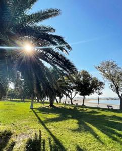 un palmier dans un parc à côté de la plage dans l'établissement Heart of Yesilkoy-Green village, à Istanbul