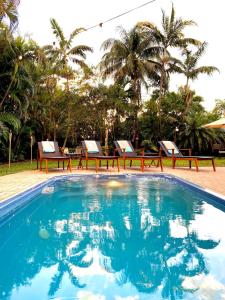 una piscina con dos sillas y palmeras en Fox Island Heated Spa- Downtown & Beach, en Fort Lauderdale