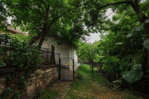 an open gate to a house with a tree at TripON cozy spot in Cluj-Napoca +53 photos