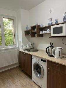 a kitchen with a washing machine and a sink at Гостинний двір Стефані in Tatariv