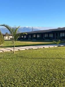 two palm trees in the middle of a field of grass at La posta in Tafí Viejo