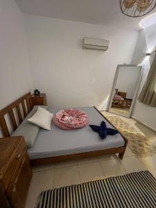 Postel nebo postele na pokoji v ubytování American House Dahab + 58 fotografií