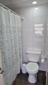 サンティアゴにあるApartamento Pet-Friendly, Piscina, Vista Cerro San Cristobal, Santiagoのトイレとシャワーカーテン付きのバスルーム