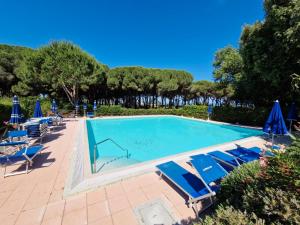 a large swimming pool with blue chairs and umbrellas at Rex Lo Scoglietto Punta Ala in Punta Ala