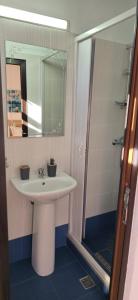 a bathroom with a sink and a mirror and a shower at Vila Lorena in Mangalia