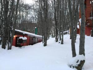 Cabañas Bosque Del Faldeo durante o inverno