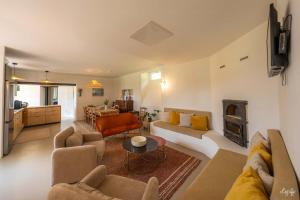 Una sala de estar con dos sofás y una chimenea. en Peaceful Estate With Pool Near Tournon, en Frespech