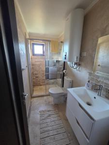 a bathroom with a toilet and a sink and a shower at Căsuța fericită in Techirghiol