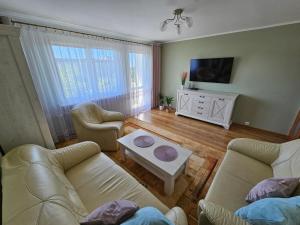 a living room with two couches and a tv at BlueDot in Bolesławiec +5 photos