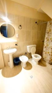 ein Badezimmer mit Toilette, Waschbecken und Spiegel in der Unterkunft Hospedaje Familiar Arcoíris Jujuy in San Salvador de Jujuy