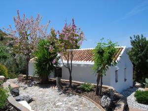 Vườn quanh Farmhouse in Acebuchal with Private Pool
