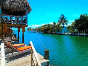 a dock with chairs and a boat in the water at Dolce Cabana Waterfront Suites in Placencia Village