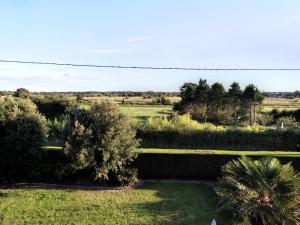 Příroda nedaleko apartmánu + 5 fotografií