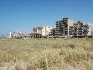 a field of tall grass with buildings in the background at Apartment in Noordwijk near Beach in Noordwijk
