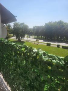 a view of a park from a bus window at Panorama in Dzierżoniów