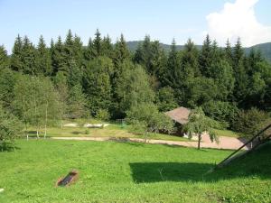 an open field with trees in the background at Chalet in Ventron near Ski Lift in Ventron