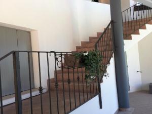 a stairway with a potted plant on it at Marone Apartment with Pool in Marone +32 photos