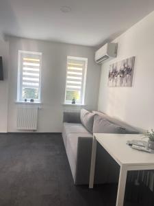 a living room with a couch and two windows at SILVIA apartment 101 in Druskininkai