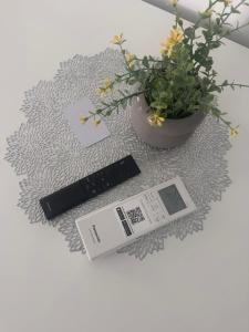 a table topped with a potted plant on a table at SILVIA apartment 101 in Druskininkai