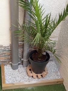 a potted plant sitting on a wooden stand at City 18 in Bourges