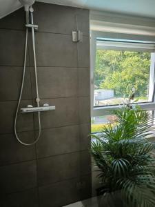 a shower in a bathroom with a window at Ferienwohnung Am Sonnenbrink in Goslar +21 photos
