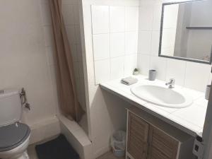 ein Badezimmer mit Waschbecken, Toilette und Spiegel in der Unterkunft Appartement 2 Chambres in Carcassonne