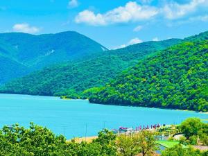 a view of a lake with mountains in the background at Berg Ananuri in Ananuri