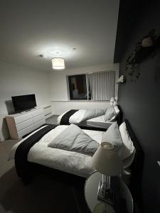 Gallery image of Cozy 2-Bed Near Birmingham City in Birmingham
