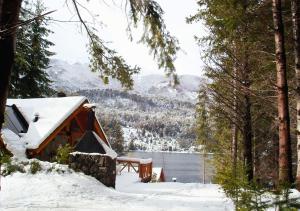 a cabin in the snow with a view of a lake at Costa Serena Aparts & Spa in Villa La Angostura +44 photos