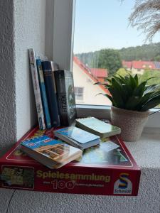 Knihovna v apartmánu