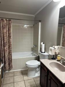a bathroom with a toilet and a tub and a sink at The Russenberger Retreat in Little Rock