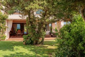 una casa con un albero nel cortile di Cala del Faro - Giardino e accesso privato al mare a Arzachena