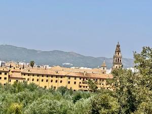 Cảnh núi rừng hoặc tầm nhìn ra núi từ căn hộ