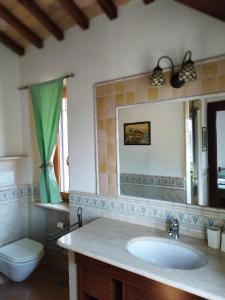 a bathroom with a sink and a toilet and a mirror at Attico in Villa Dona in Sacrofano