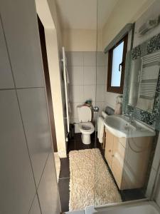 a bathroom with a toilet and a sink and a mirror at Pervolia appartment in Kiti