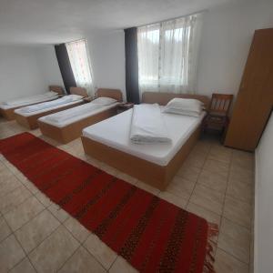 three beds in a room with a red rug at Pensiunea Ela Novaci in Novaci