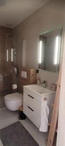 a bathroom with a sink and a toilet and a mirror at Tatry Gallery Residence in Vlková