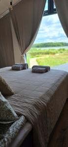 two pillows sitting on top of a bed with a window at Ostoja Liskówka in Potrzanowo