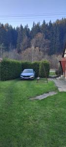 a blue car parked in a yard with a swing at Apartmán Jindřichov in Nové Losiny