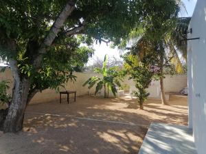 a bench in the middle of a yard with trees at Villa Prix in Hunucmá