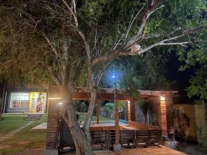 a tree in front of a house at night at Finca en Santiago del Estero in La Banda