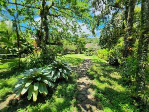 a garden with some plants in the grass at Chalés Villa do Mar in Ubatuba