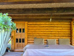 a table and chairs in front of a wooden cabin at Beco's Place in Plav
