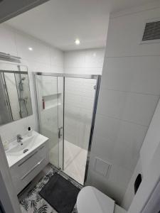 a bathroom with a shower and a toilet and a sink at Mieszkanie przy Ergo Arenie in Gdańsk