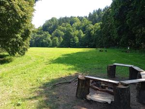 a wooden bench sitting in a field with trees at Tábořiště Suchovršice in Suchovršice