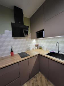 una cocina con fregadero y encimera en ЖК Bridge, en Rivne