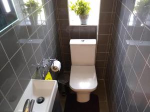 a bathroom with a toilet and a sink and a window at London Acton Central House in London +19 photos