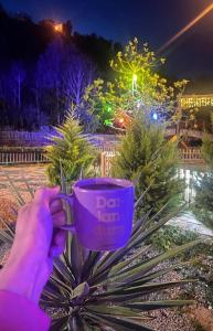 Fotografie z fotogalerie ubytování Babylon bungalow&otels v destinaci Pazar + 10 fotografií